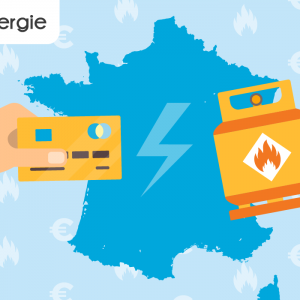 Calculer pour trouver le prix moyen du gaz en France.