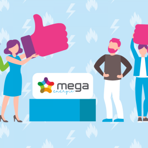 Synthèse des avis clients positifs et négatifs