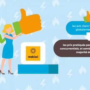 Synthèse avis Wekiwi.