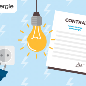 Quelles sont les particularités des abonnements d'électricité chez les fournisseurs d'énergie ?