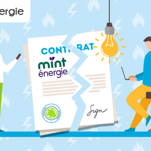 Résiliation Mint Energie