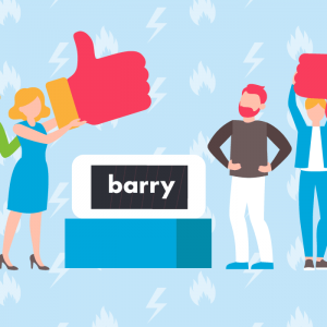 Synthèse avis clients Barry.