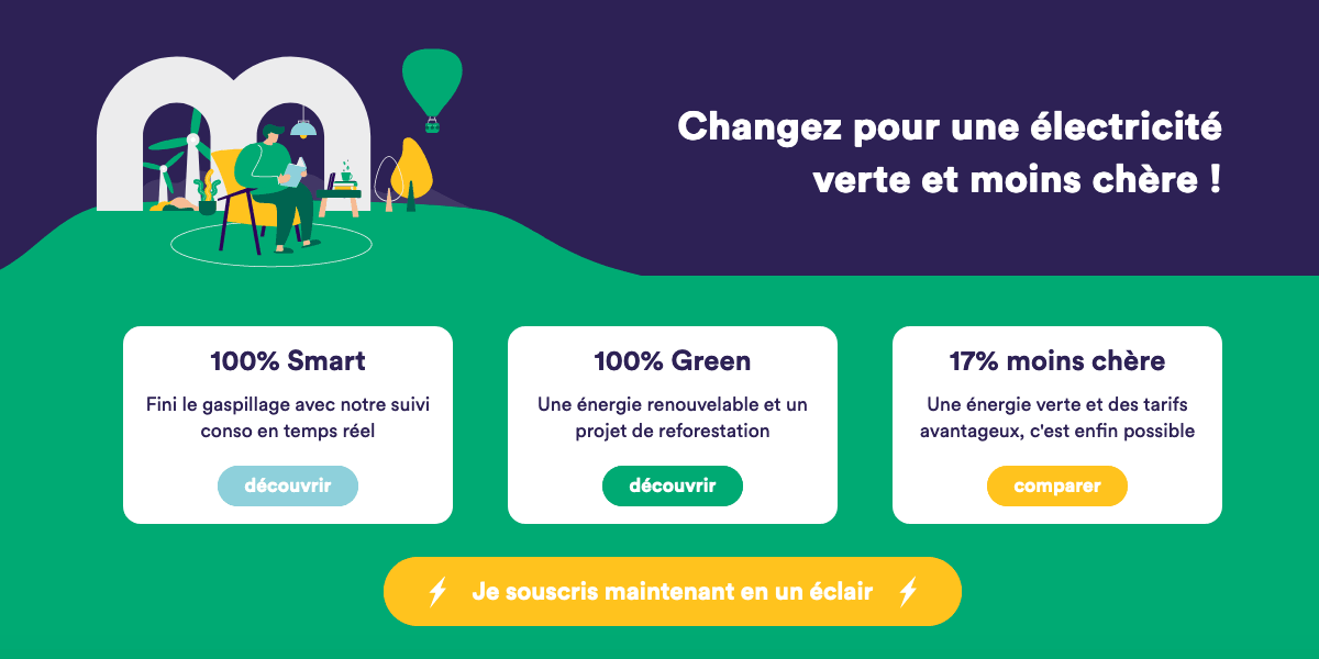 L'électricité verte de Mint Energie