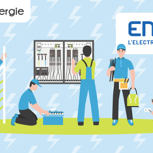 Quel est le rôle d'Enedis en France ?