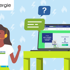 Comment fonctionne l'espace client Alterna ?