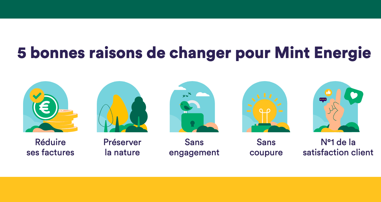 L'électricité pas chère de Mint Energie L'électricité pas chère de Mint Energie