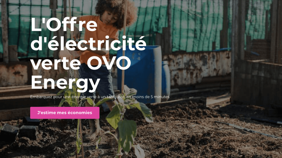 l'offre d'électricité OVO