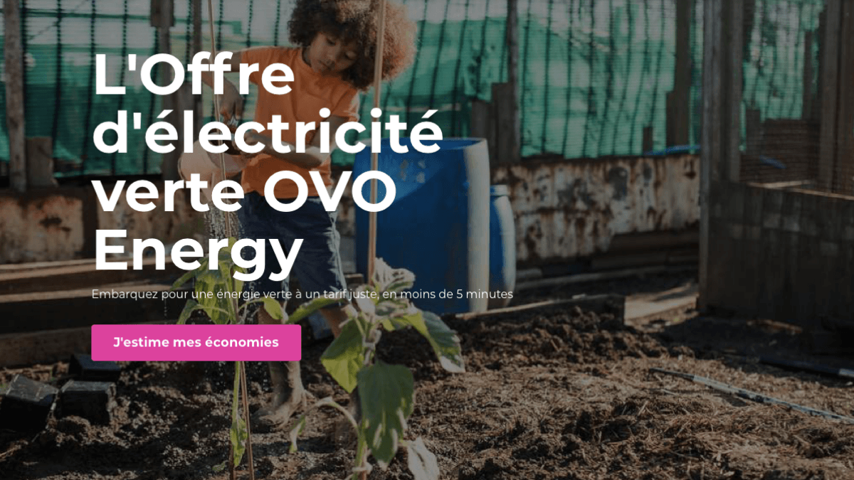 l'offre d'électricité OVO l'offre d'électricité OVO