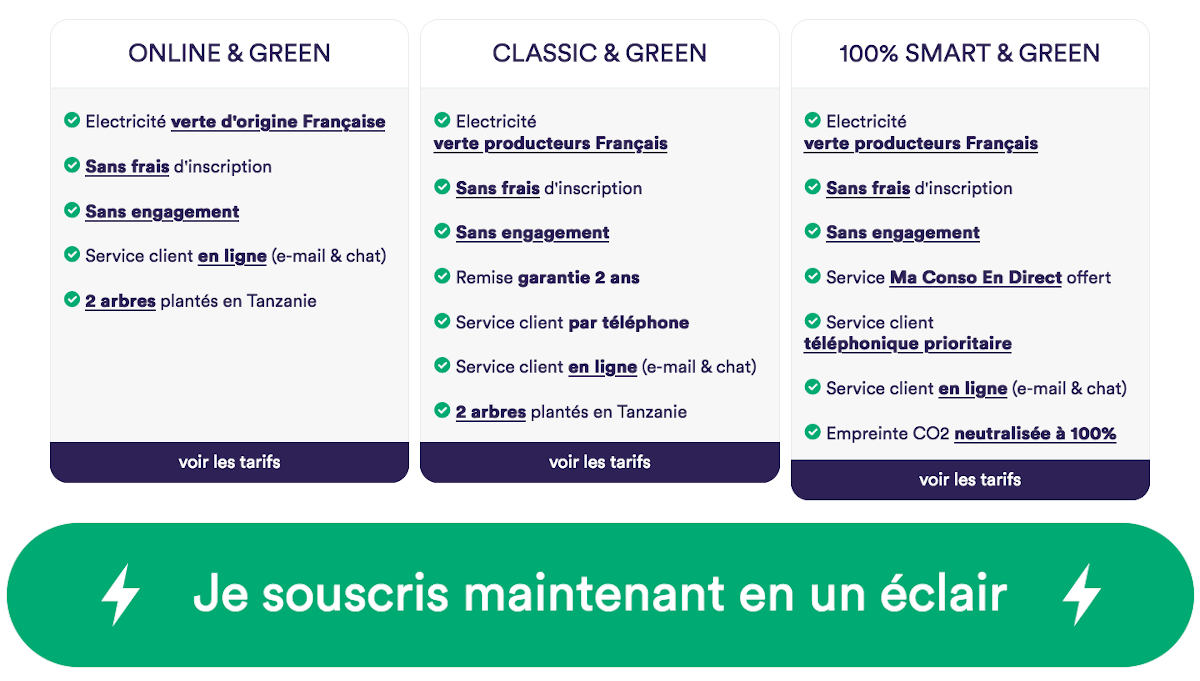Mint Énergie offre électricité pas cher jusqu’à -17% HT sur la consommation Mint Énergie offre électricité pas cher