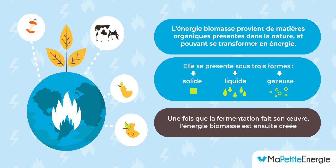 L'énergie biomasse, une énergie renouvelable