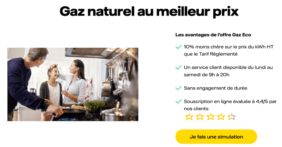offre de gaz eco vattenfall offre de gaz eco vattenfall