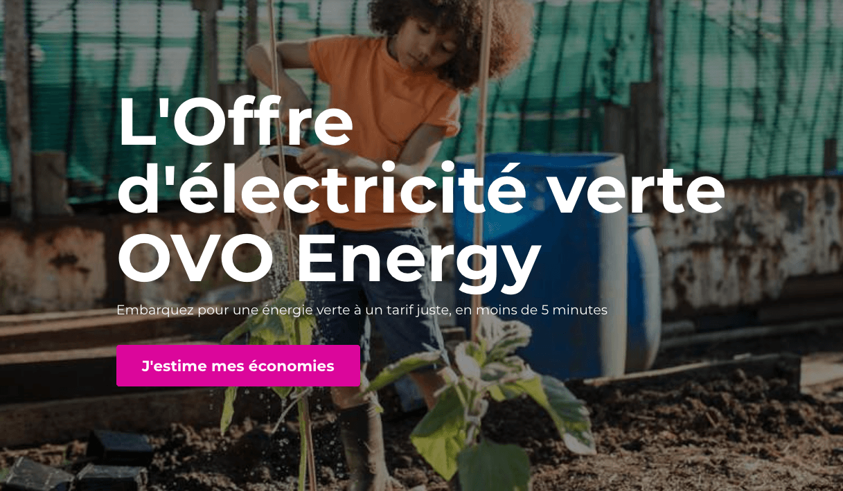 contrats electricite ovo energy