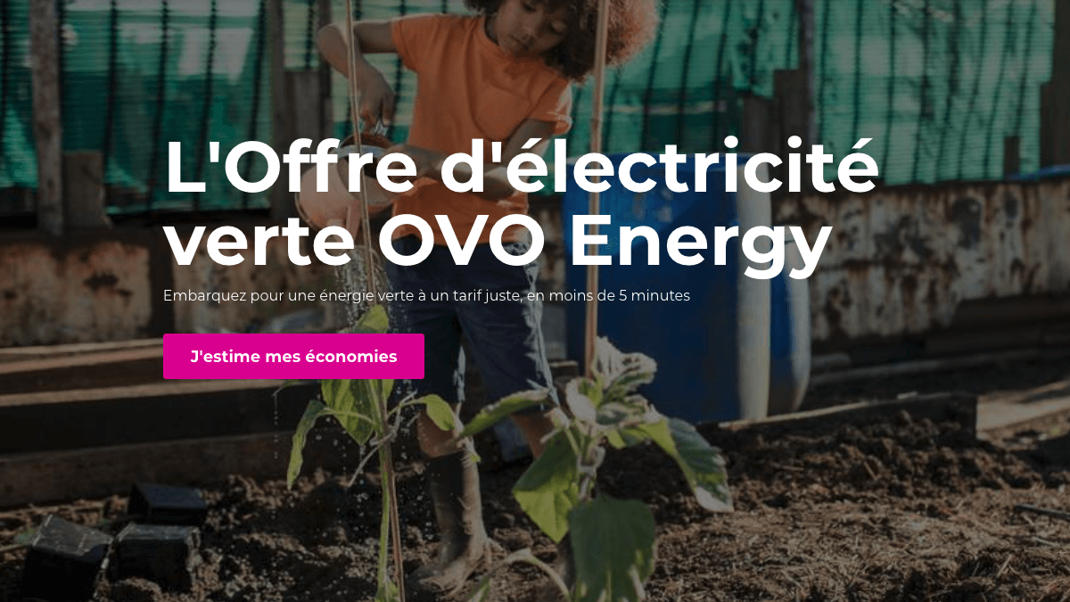 L'offre OVO électricité verte