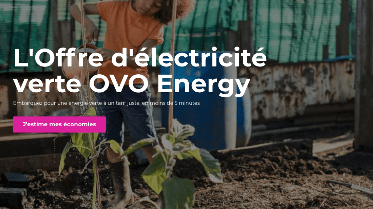 Un contrat électricité à -8% Contrat électricité OVO récap