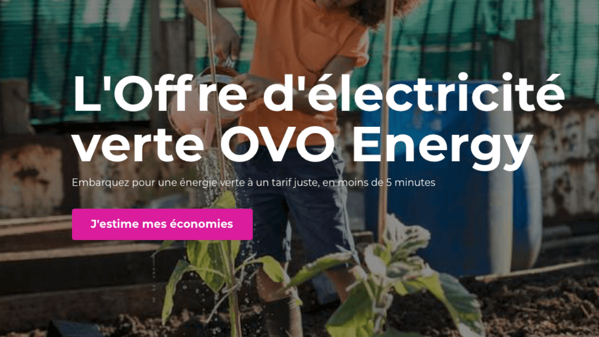 L'offre électricité d'ovo Ovo et son offre électricité