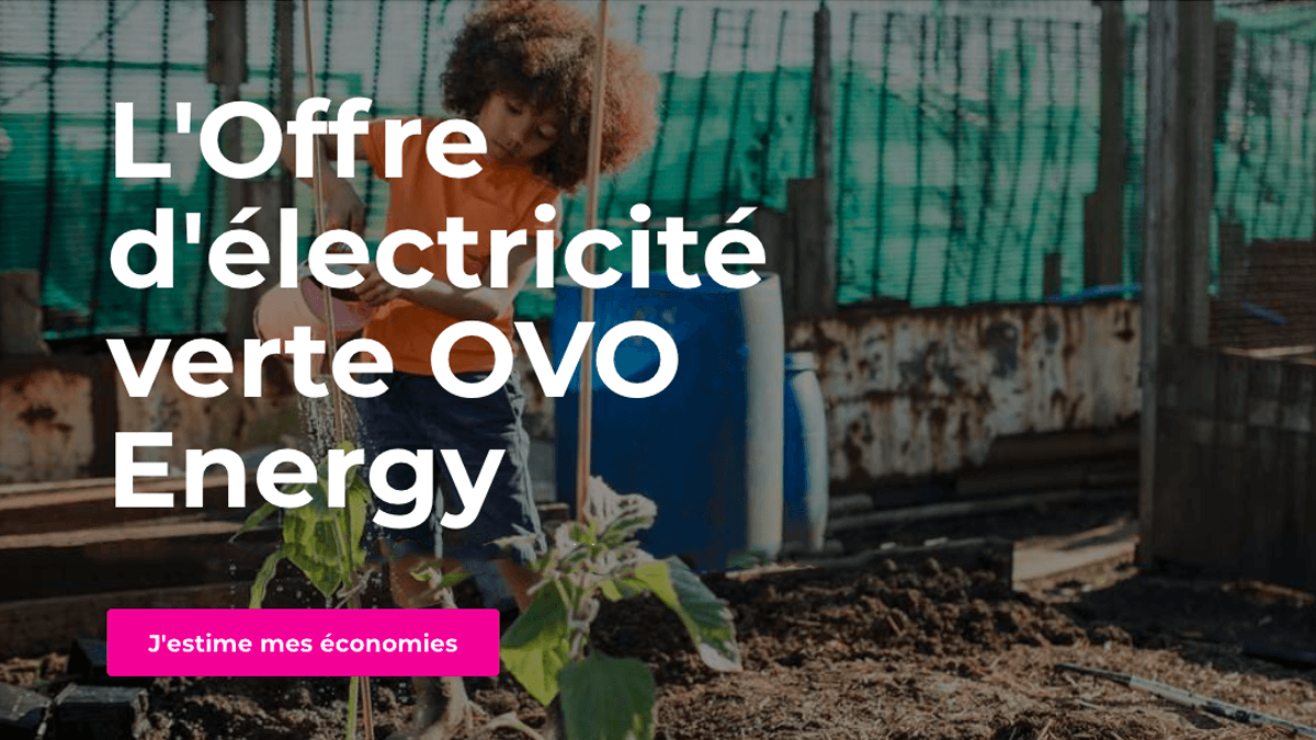 L'offre d'électricité pas chère d'Ovo Energy