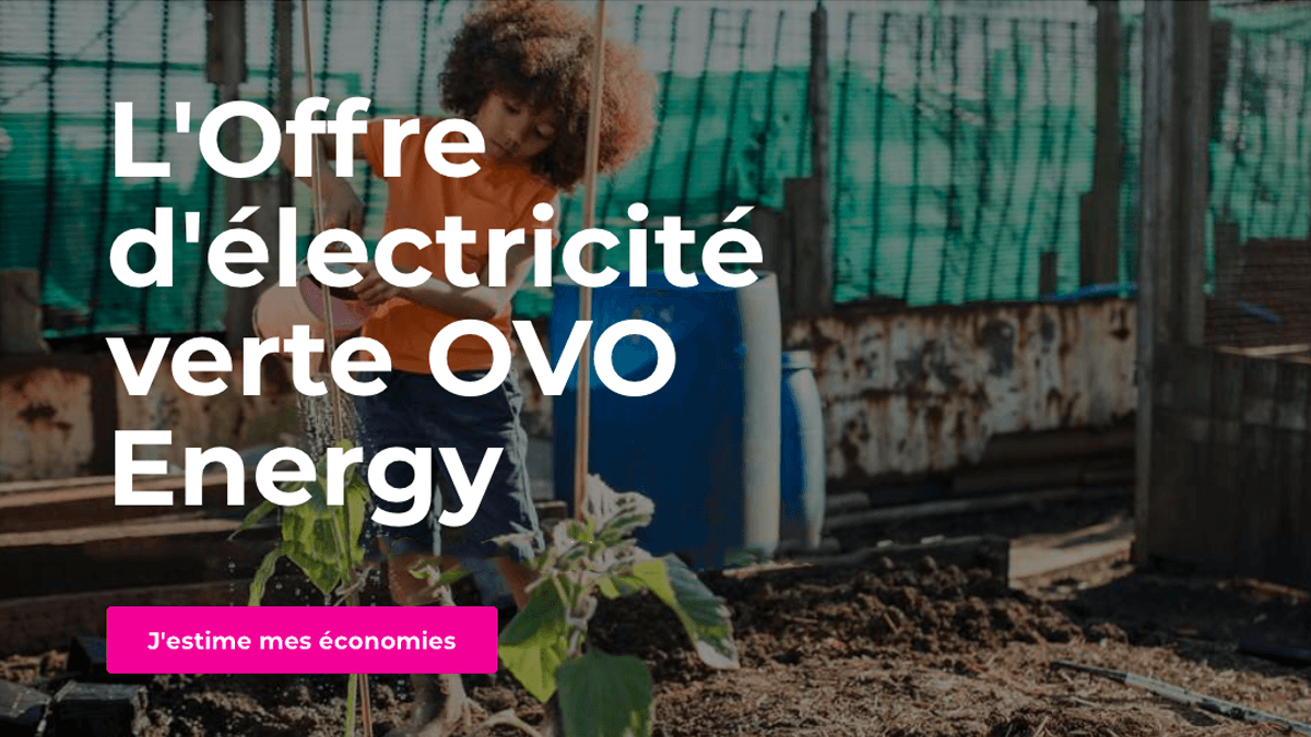 L'offre d'électricité pas chère d'Ovo Energy, 8% de remise sur le prix HT du kWh pour de l'énergie verte à bas prix L'offre d'électricité pas chère d'Ovo Energy