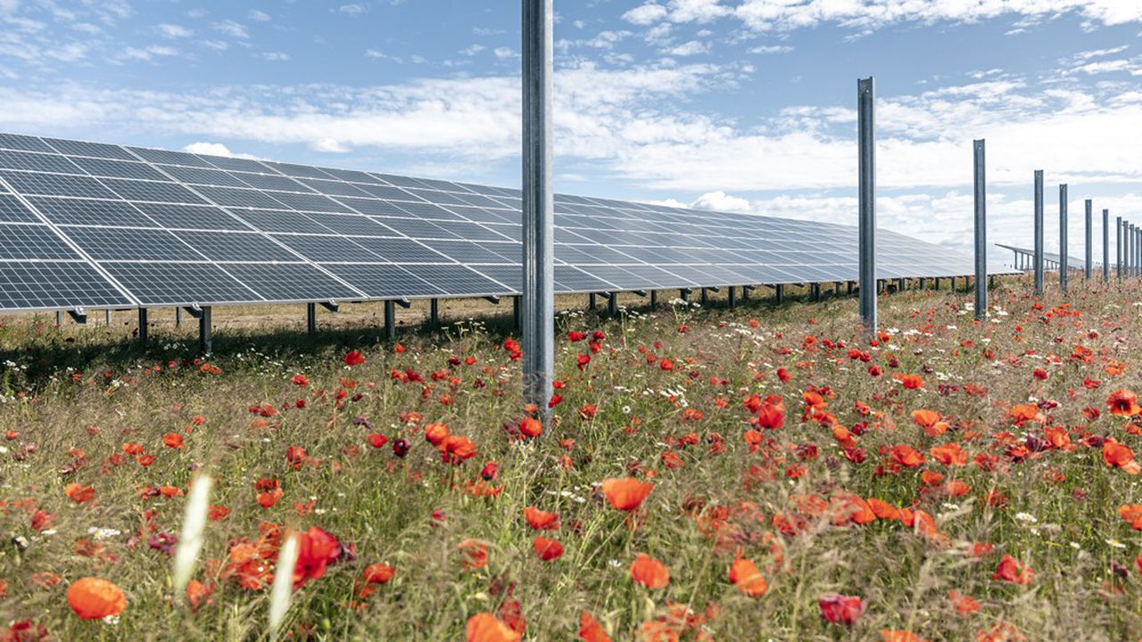 Le parc éolien allemand pour produire de l'énergie verte