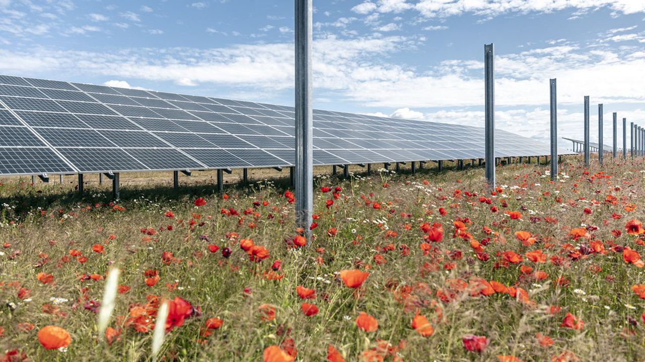 Le parc éolien allemand pour produire de l'énergie verte et renouvelable à 30 km de Berlin Le parc éolien allemand pour produire de l'énergie verte