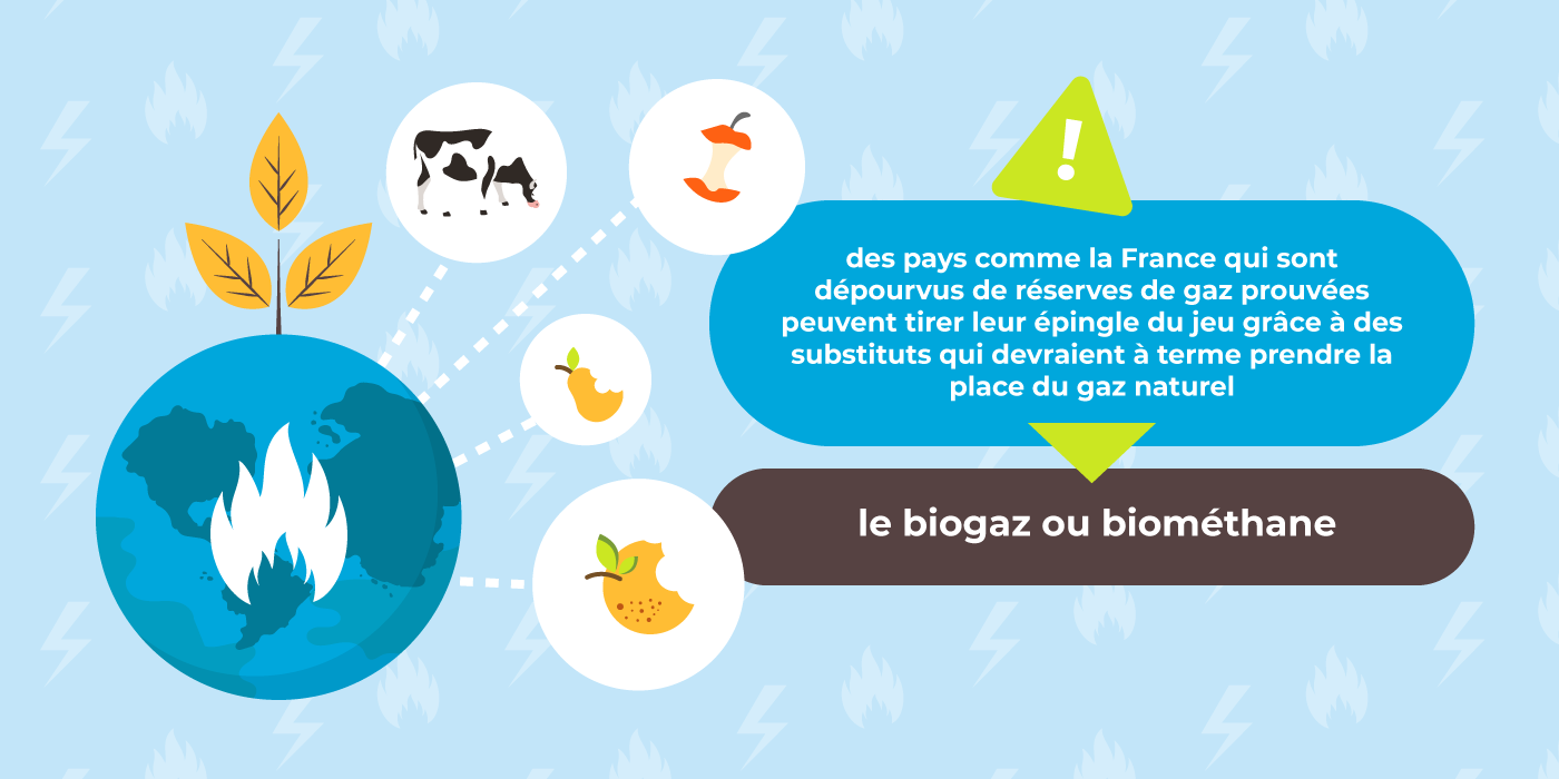 Le gaz, le biogaz et l'avenir des énergies fossiles. Gaz naturel : l'avenir de cette énergie.
