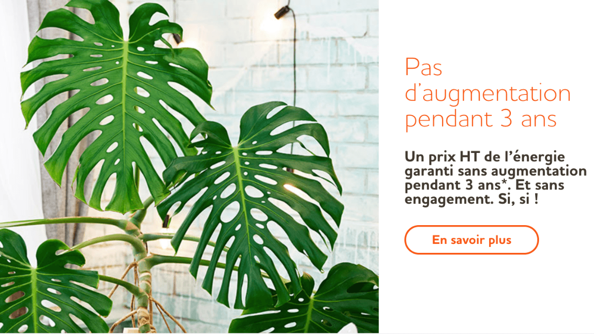 Contrat d'électricité à prix fixe
