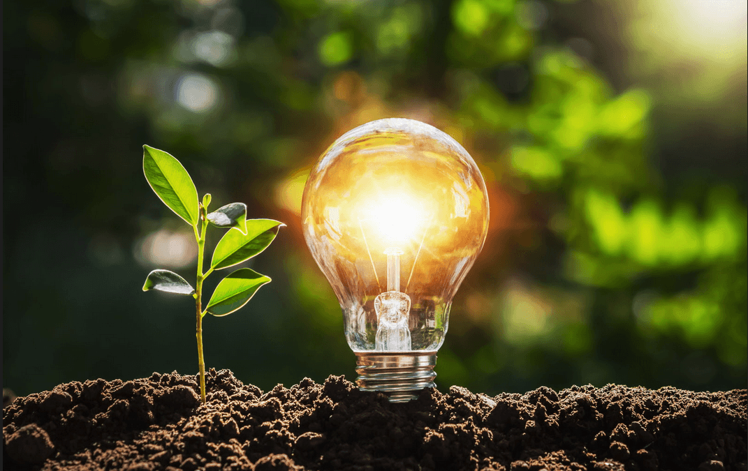 Électricité verte
