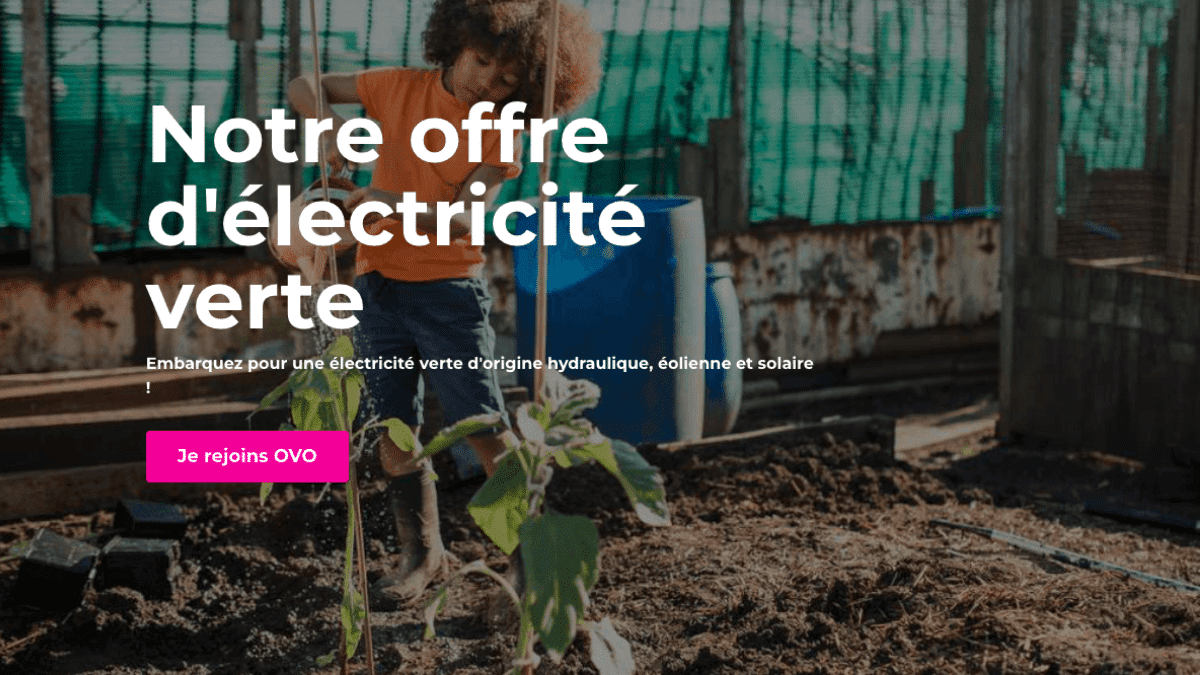 Contrat d'électricité verte OVO Energy